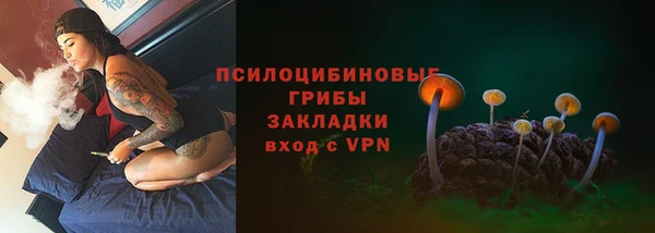 ПСИЛОЦИБИНОВЫЕ ГРИБЫ Куйбышев