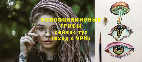 мяу мяу мука Кукмор