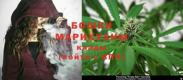 дмт Кулебаки