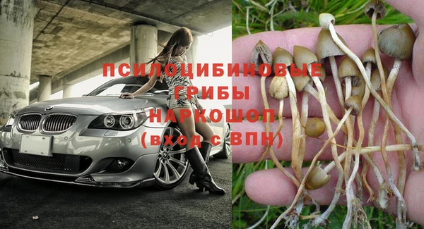 дмт Кулебаки