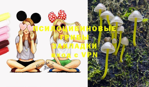 крисы Мурманск