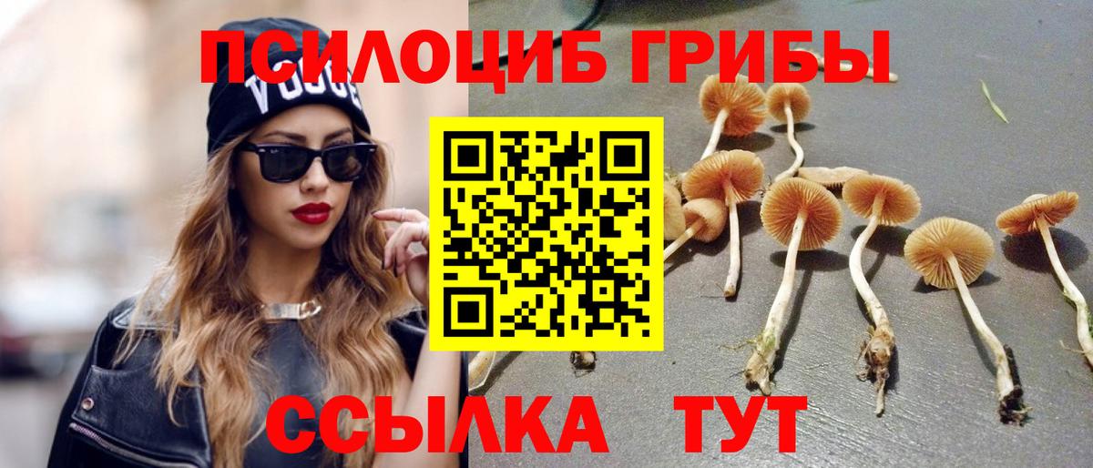 Галлюциногенные грибы ЛСД Юрга