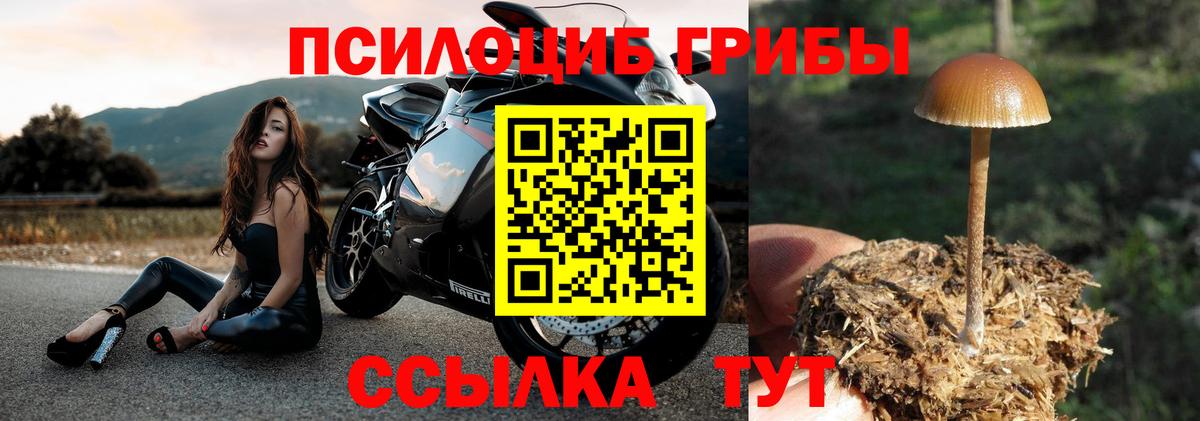 Галлюциногенные грибы мухоморы  Псилоцибиновые грибы мицелий  Юрга  Вход с VPN 